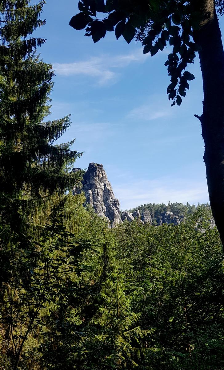 Bastei forest path