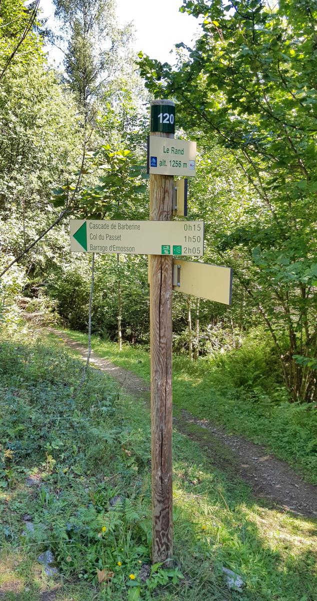 Forest path Vallorcine