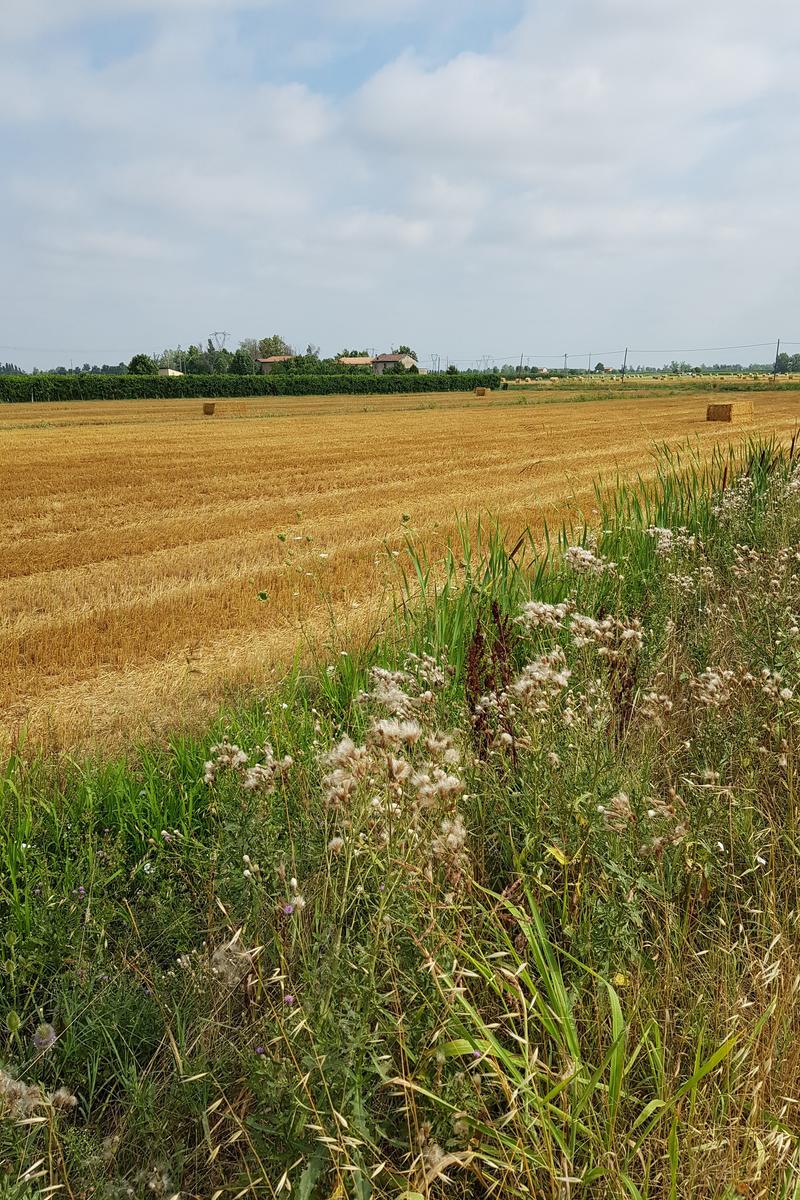 June 26 Barberino to Bologna