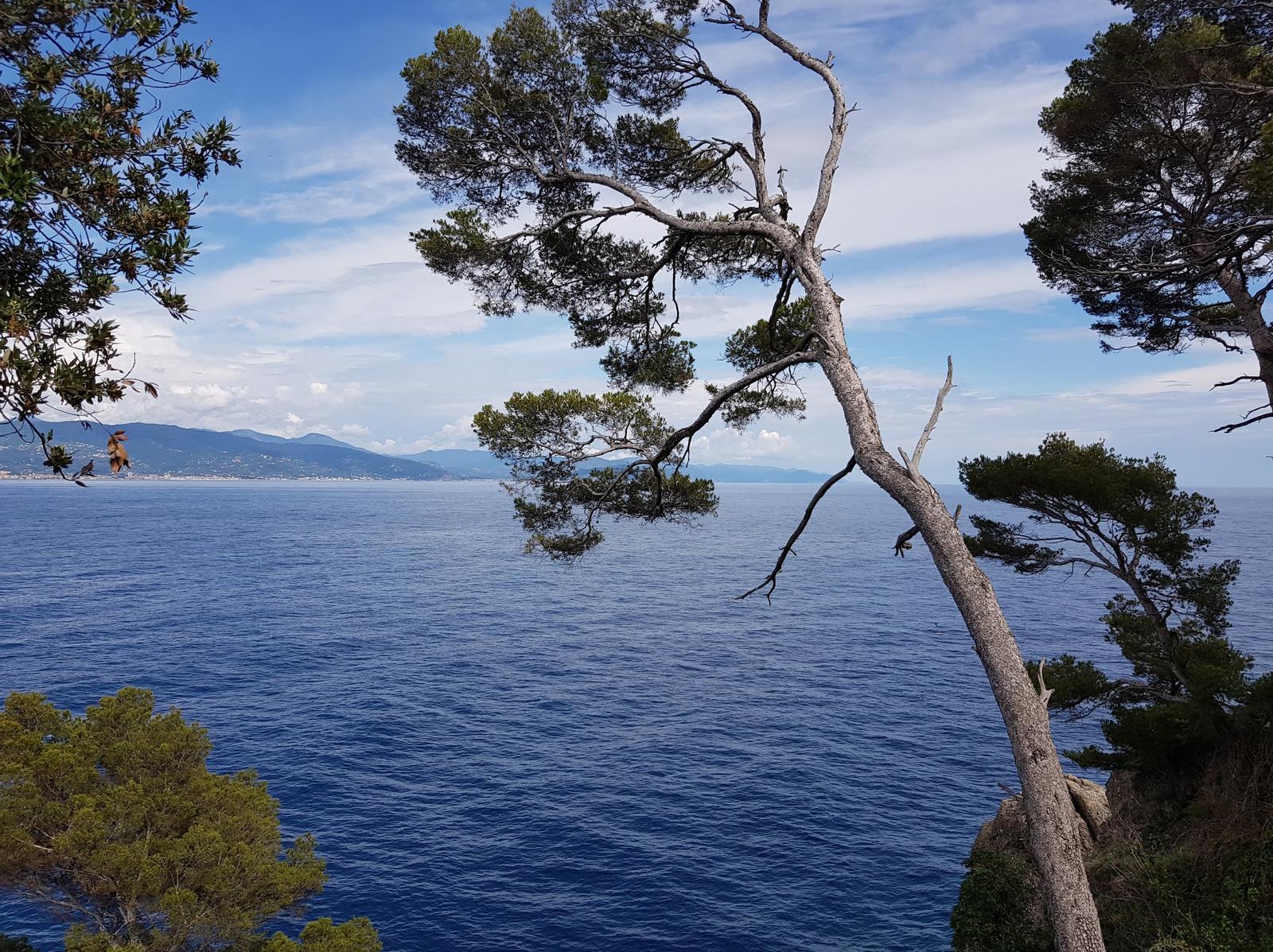 Portofino path view