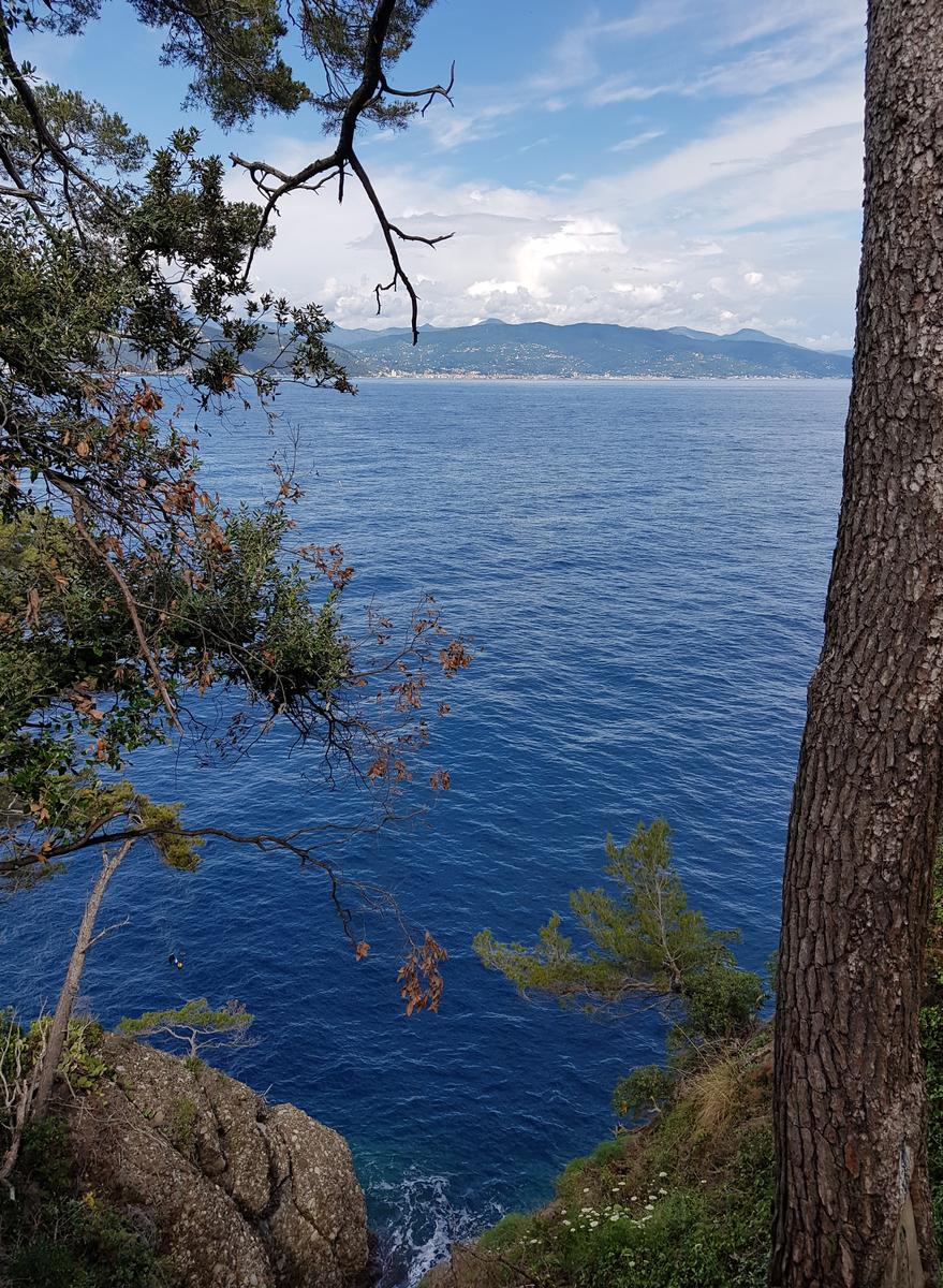 Portofino path view