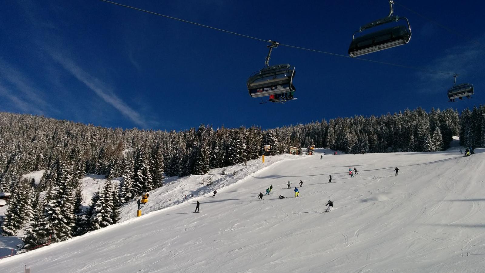 Saalbach bluebird