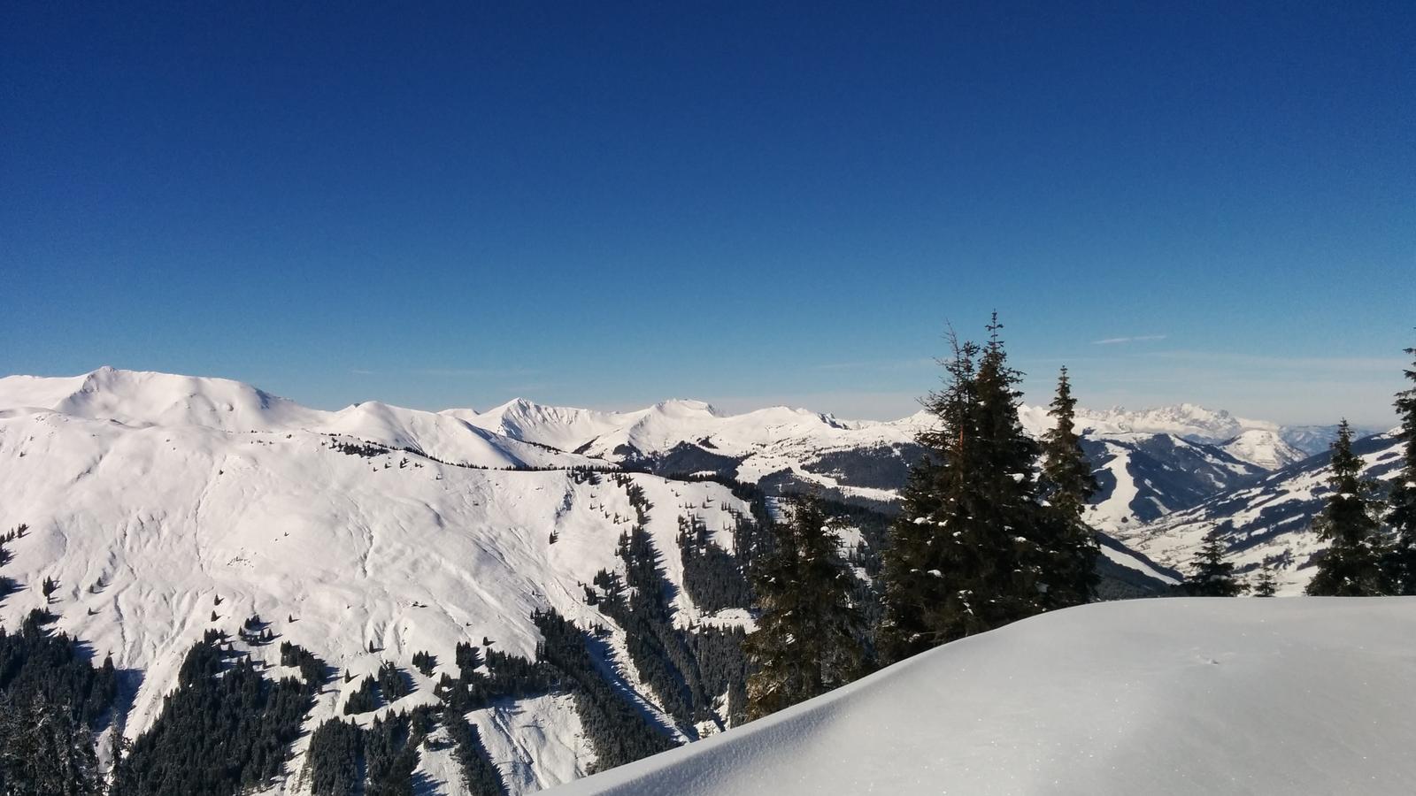 Zell am See bluebird